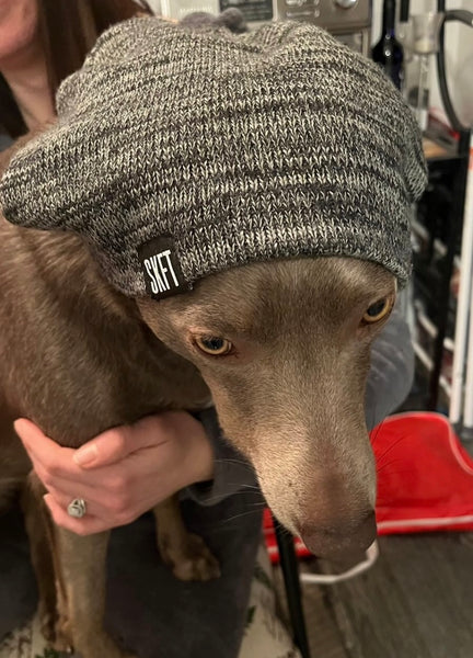 Puppy with grey slouchy toque with sewn on SKFT label